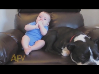 baby farted dog almost dead [hd, 720p]